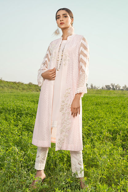 Noor